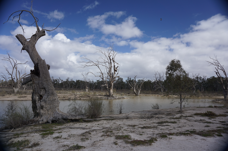 Illustration for article titled Roamin' the Riverland.